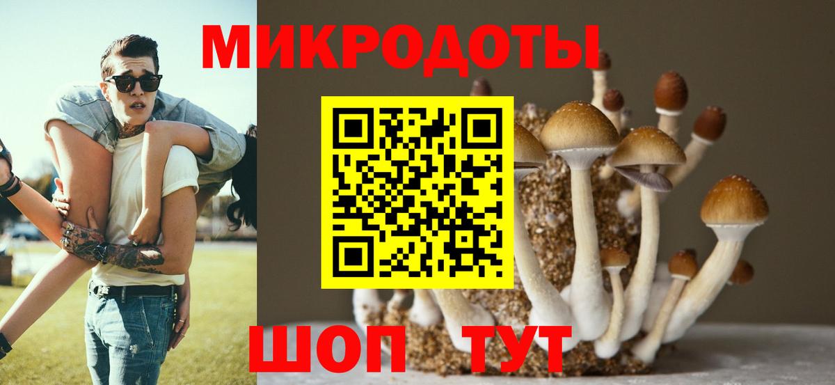 Галлюциногенные грибы прущие грибы Ухта